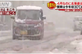 岩手県Ｎ様　ご予約ありがとうございます！