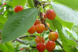 神奈川県Ｓ様　ご予約ありがとうございます！