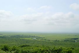 夏休みにキャンセルでましたよ~^^。